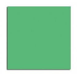 CARTONCINO 70x100 VERDE...