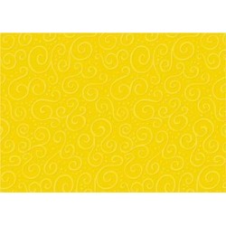 CARTONCINO CANSON 70x100...