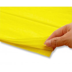 CARTA VELINA cm.50x76 24 ff...