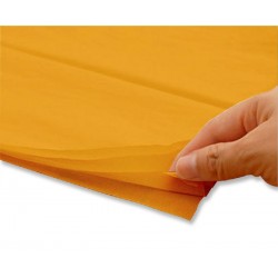 CARTA VELINA cm.50x76 24 ff...