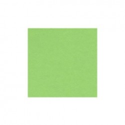 CARTONCINO 50x70 VERDE MELA...