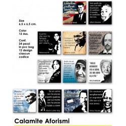 CALAMITE AFORISMI 24 Pz