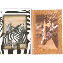 ASS. BIGL ZEBRA GIRAFFA (12...
