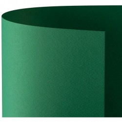 CARTONCINO FAVINI 50x70 220 gr. L/R VERDE (20 ff)