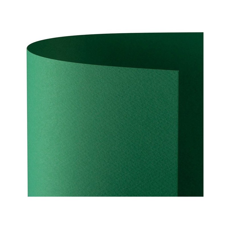 CARTONCINO FAVINI 50x70 220 gr. L/R VERDE (20 ff)