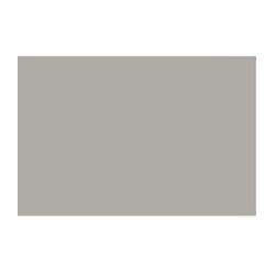 CARTONCINO FAVINI 50x70 220 gr. L/R PIETRA (20 ff)
