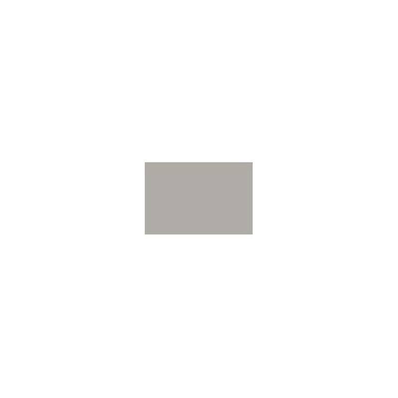 CARTONCINO FAVINI 50x70 220 gr. L/R PIETRA (20 ff)