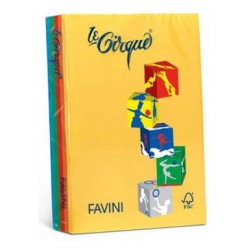 CARTA A4 FAVINI 5 COLORI...