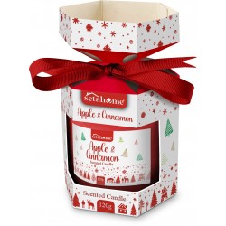 CANDELA 120 gr APPLE & CINNAMON