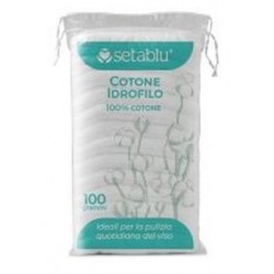 COTONE IDROFILO 100 gr. (24 Pz)
