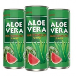 LATTINA ALOE VERA GUSTO ANGURIA 240 ml (30 Pz)