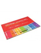 ASS. CARTONCINO 12 Colori 33x48 (120 ff)